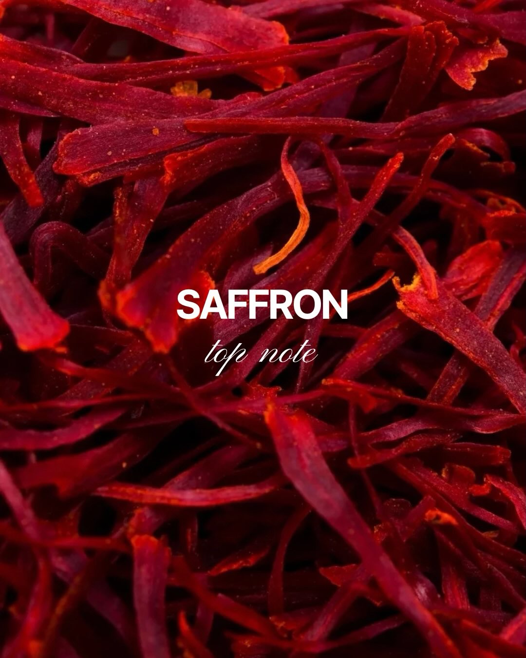 House of Parfum, slide 2