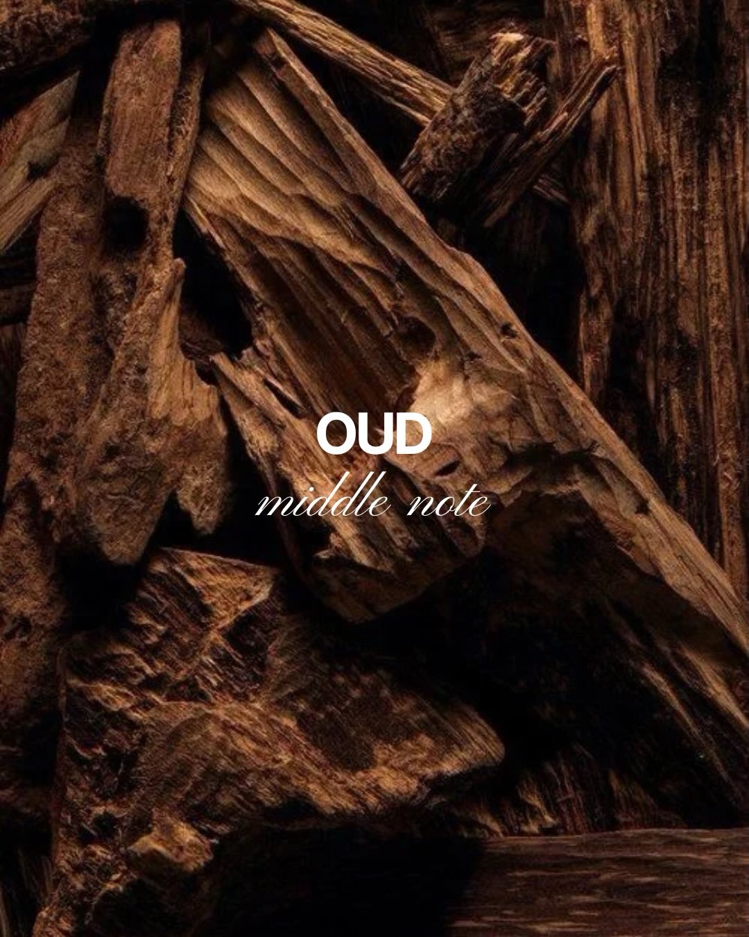 House of Parfum, slide 4