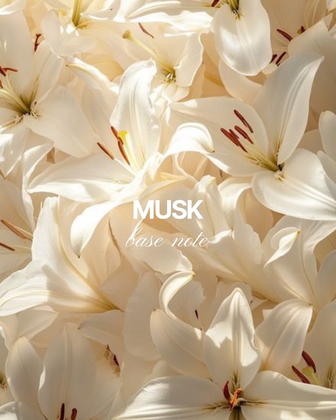 House of Parfum, slide 5
